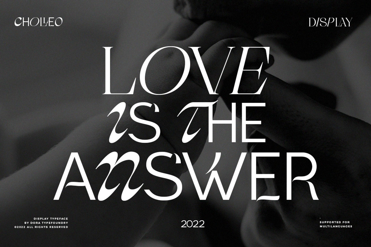 Cholleo Display, a Serif Font by Dora Typefoundry (Photo 4 of 18)