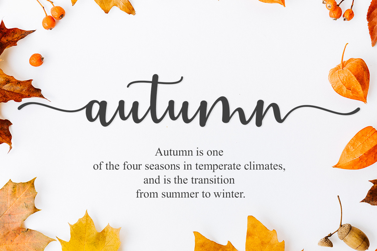 Astylife, a Script Font by Natural Ink Studio (Photo 7 of 8)
