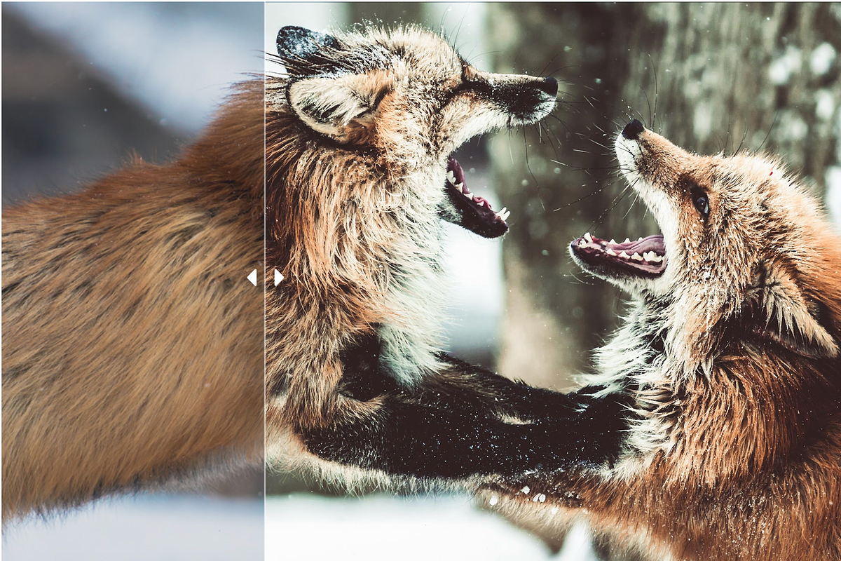 Lightroom Winter Presets (XMP+DNG), a Layer Style Add-On by yosscinematic (Photo 6 of 15)