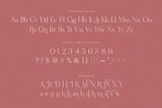 Metagana – Modern Display Serif Font, a Serif Font by BrandSemut (Thumbnail 8 of 8)