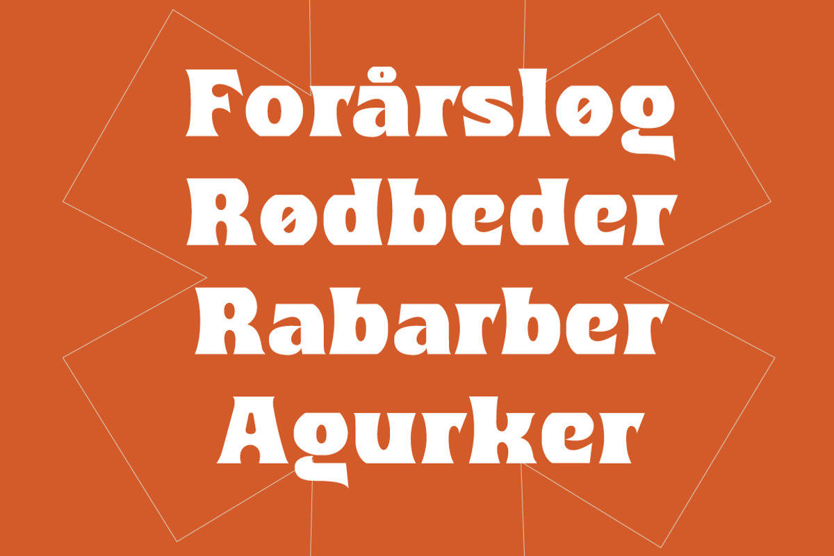 Lauge, a Sans Serif Font by Jan-Christian Bruun (Photo 13 of 14)