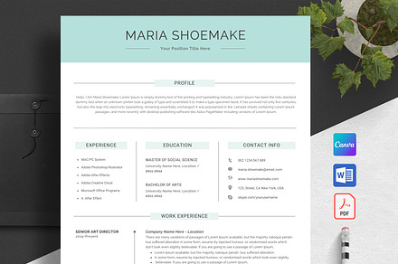 Resume / CV Template | Canva & Word