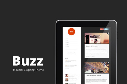 Buzz Clean Wordpress Blogging Theme