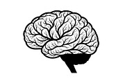 Brain Tree Knowledge Design Bundle, an Illustration by Gaye Art (Thumbnail 28 of 31)