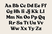 Skillet Serif Typeface, a Serif Font by Fenotype (Thumbnail 3 of 14)