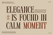 GC Polaire - Serif Display Condensed, a Serif Font by Glyphonic (Thumbnail 7 of 16)