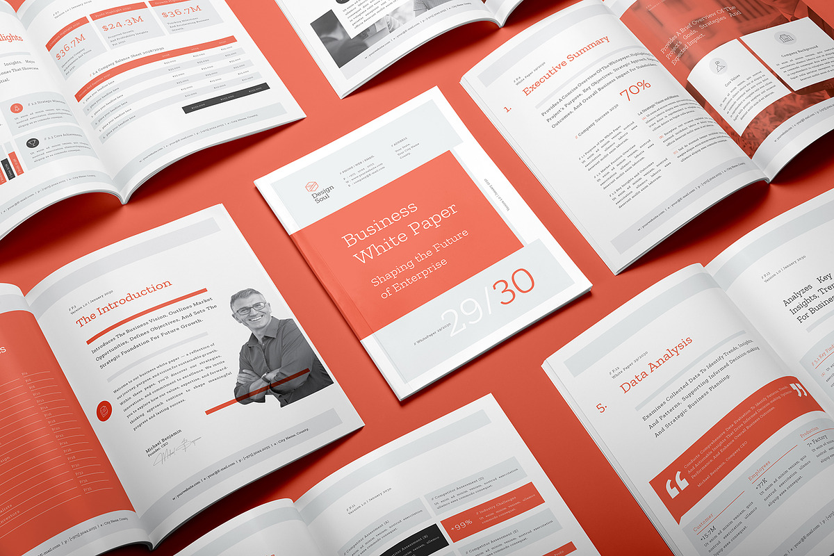 White Paper Template, a Brochure Template by Designsoul14 (Photo 2 of 13)