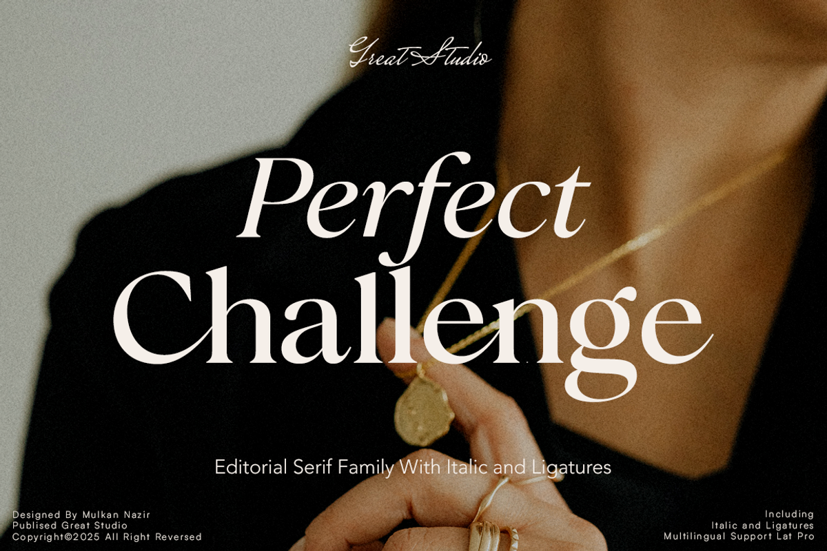 Perfect Challenge Serif Family, a Serif Font by Mulkan Nazir (Photo 1 of 22)
