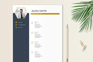 Resume Template Navy Gold