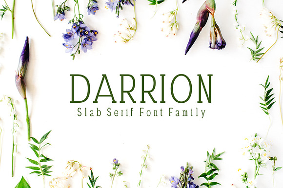 Darrion Slab Serif Font Family preview 6