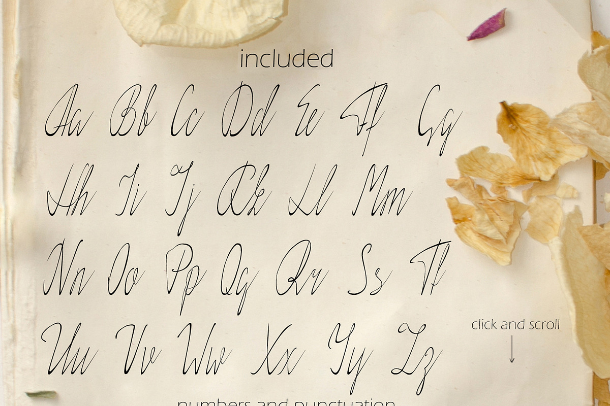 Elegance Script (otf, ttf) preview 6