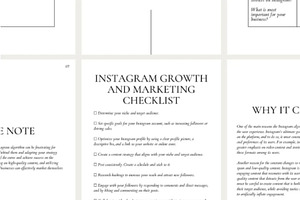 PLR Instagram Guide And Workbook