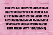 Hudson - Modern Condensed Font, a Sans Serif Font by TokoPress (Thumbnail 10 of 12)
