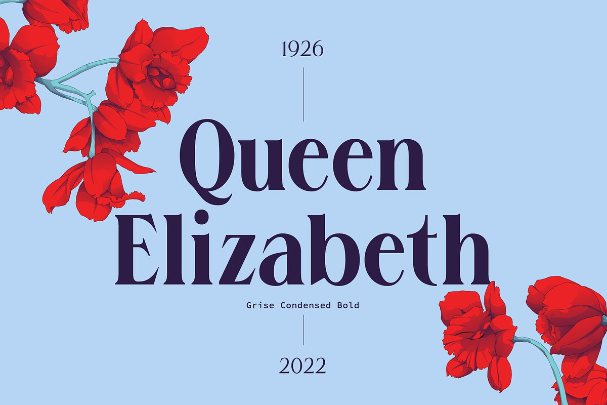 Grise - Variable Serif (18 Fonts), a Serif Font by VectorKiss GraphicsSupply (Photo 14 of 18)