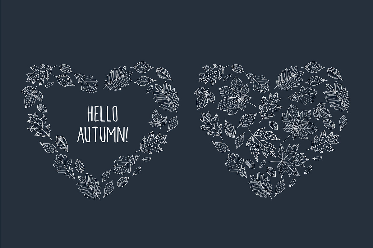 Hand drawn leaves of different trees, a Decorative Illustration by Tkoko vectors & patterns (Photo 13 of 14)