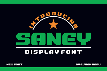 Saney - Bold Display Font