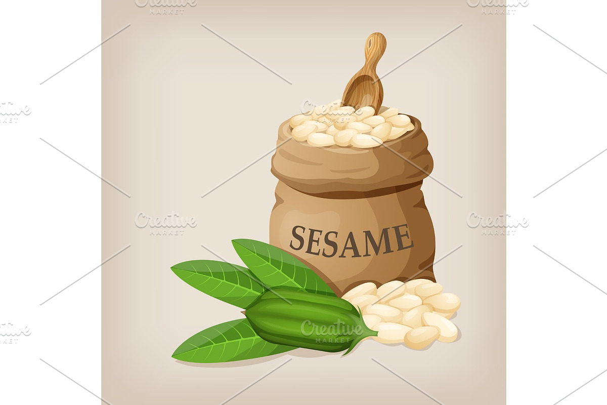 Sesame seeds in sack. Full burlap bag with sesame seeds. Vector illustration, a Food Illustration by SHom