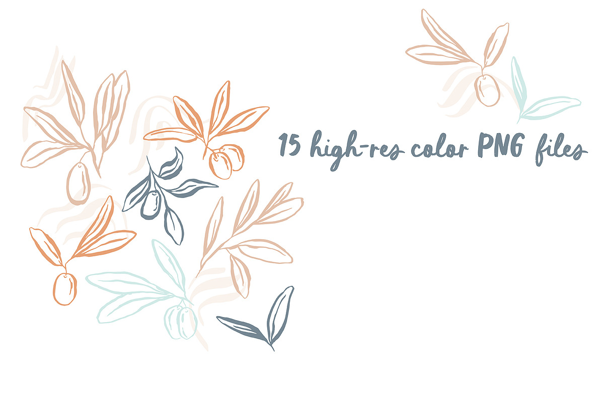 Mediterranean Olives Graphic Set, a Graphic by Alicia Bruce Creative (Photo 7 of 8)