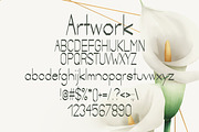 Artwork Summer Font, a Script Font by DmDesignsStoreArt (Thumbnail 2 of 2)