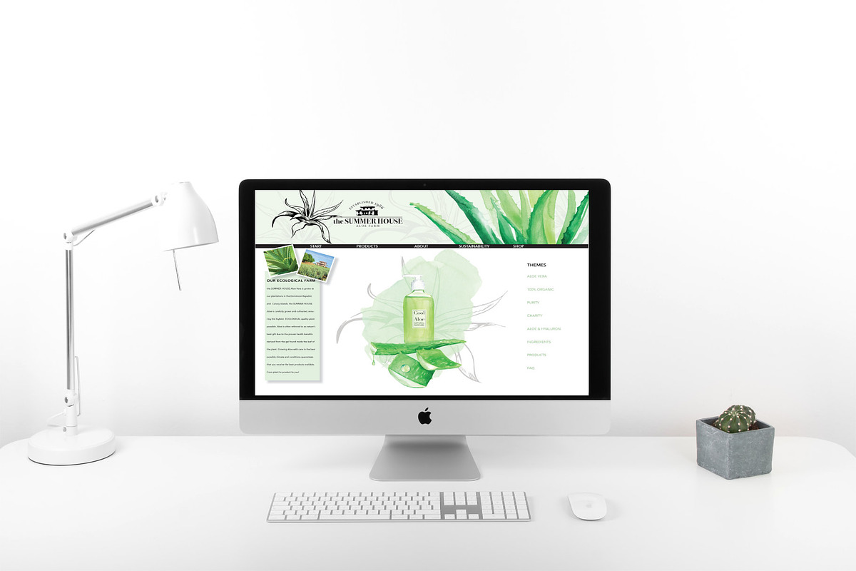 Fresh Watercolor Aloe Vera Set, a Healthcare Illustration by beehouse studio (Photo 8 of 9)