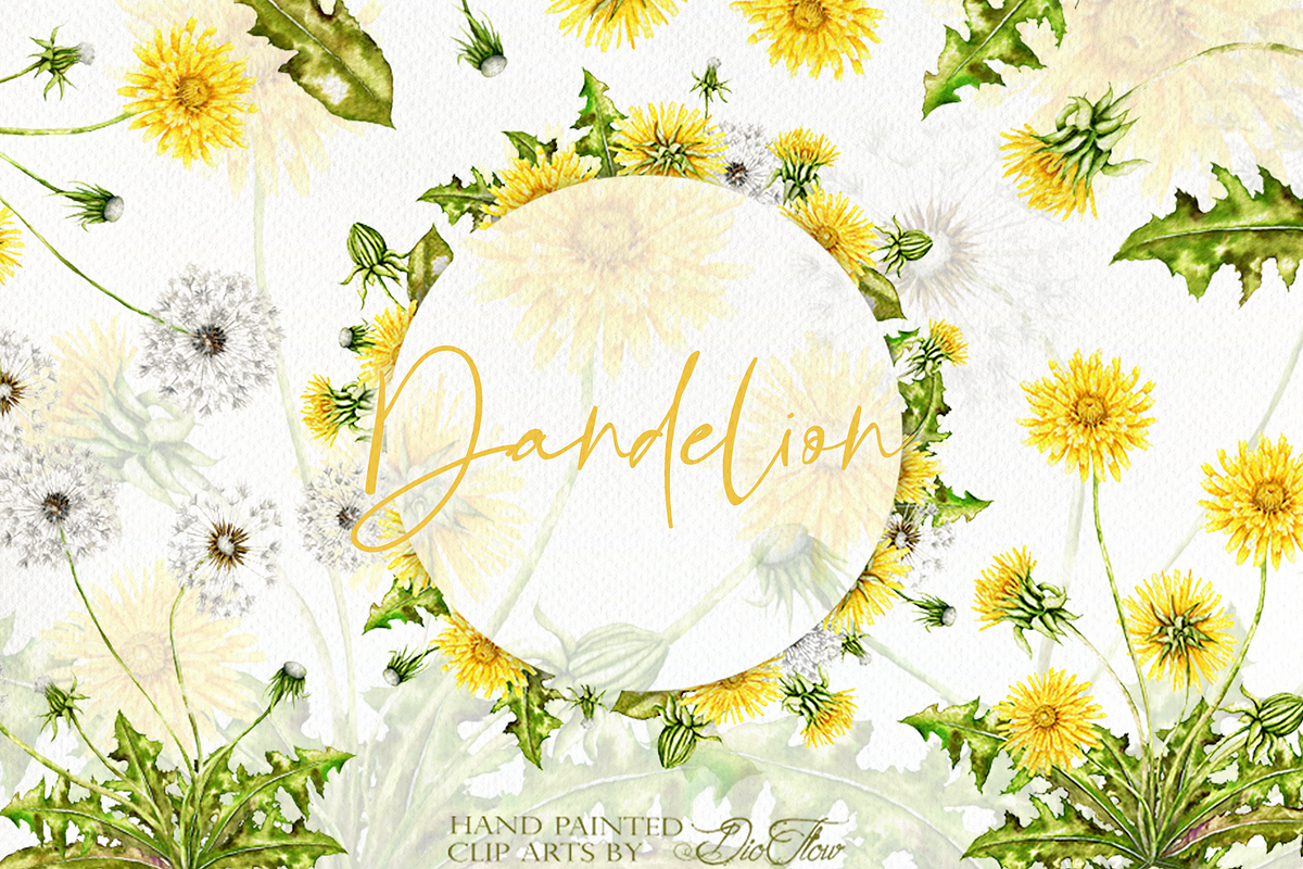 Dandelion Watercolor Illustration, a Decorative Illustration by DioFlow (Photo 1 of 2)