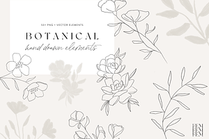 Hand Drawn Botanical Logo & Branding