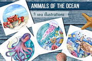 Watercolor Animals of the Ocean, an Animal Illustration by Green_leaf_17 (Thumbnail 1 of 5)