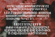 Rosamila Display, a Serif Font by Stripes Studio (Thumbnail 11 of 11)