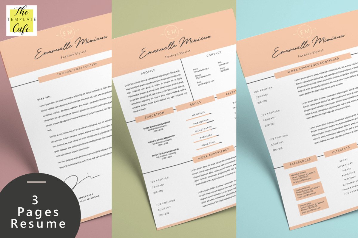 Clean Elegant Resume Template, a Resume Template by Rustype (Photo 2 of 6)