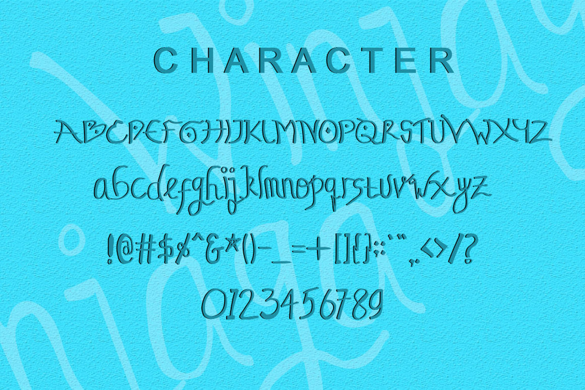 Winjaga - Elegant Latin Font, a Script Font by Naistudio (Photo 7 of 7)