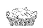50 Woven Basket Vector Bundle, an Illustration by Designs_River (Thumbnail 16 of 51)