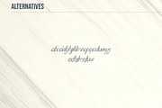 Highway - Vintage font family+Extras, a Script Font by VP Fonts (Thumbnail 13 of 16)