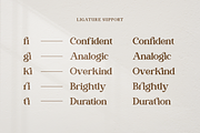 Contagia - Modern Stylish, a Serif Font by RockboyStd (Thumbnail 8 of 12)