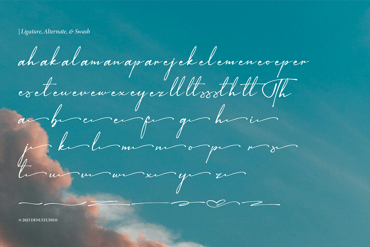 Sagara Amirenja | Classic Signature, a Script Font by Denustudios (Photo 12 of 12)