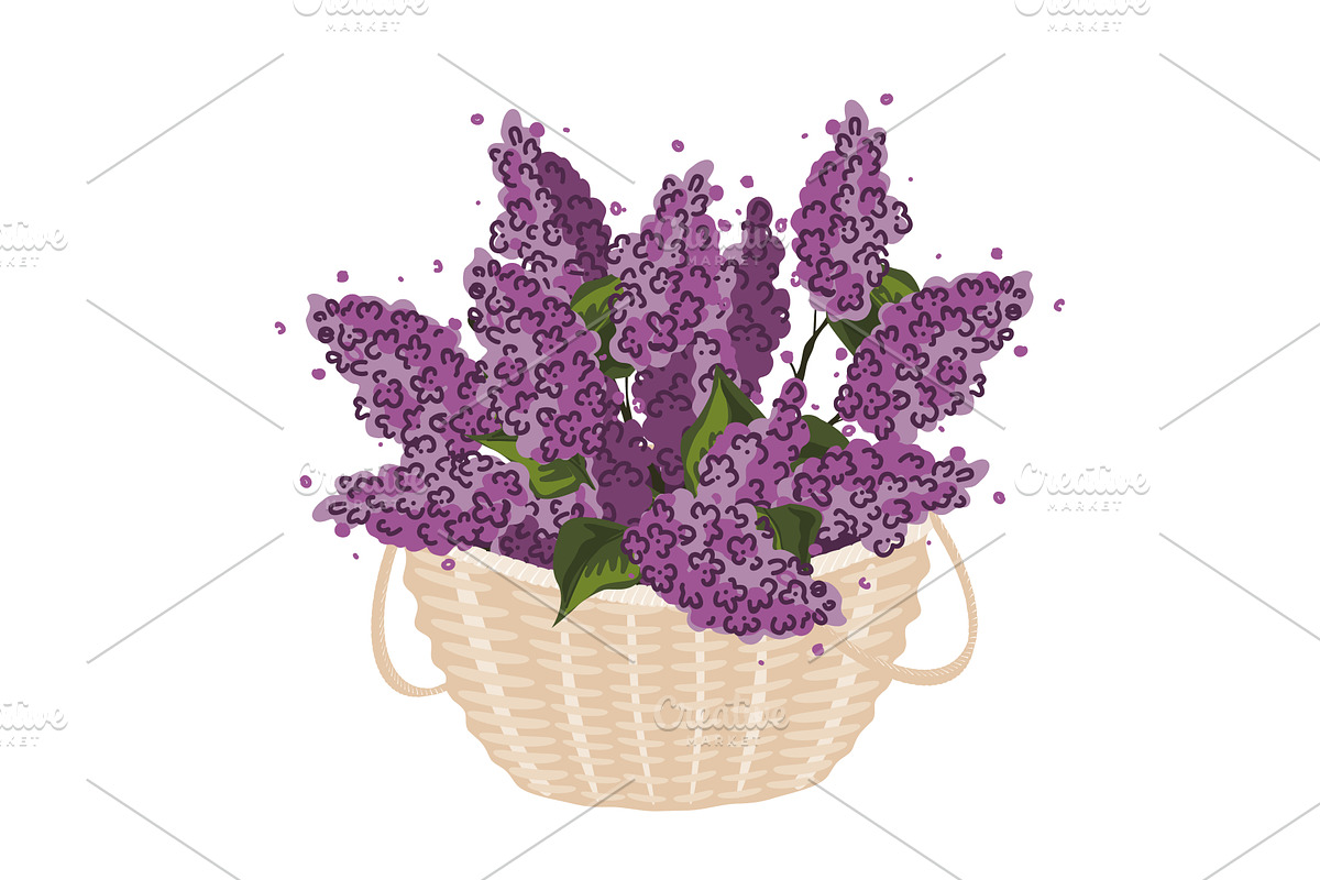 Bunch of lilac brunches in a basket, an Object Illustration by Toltemara