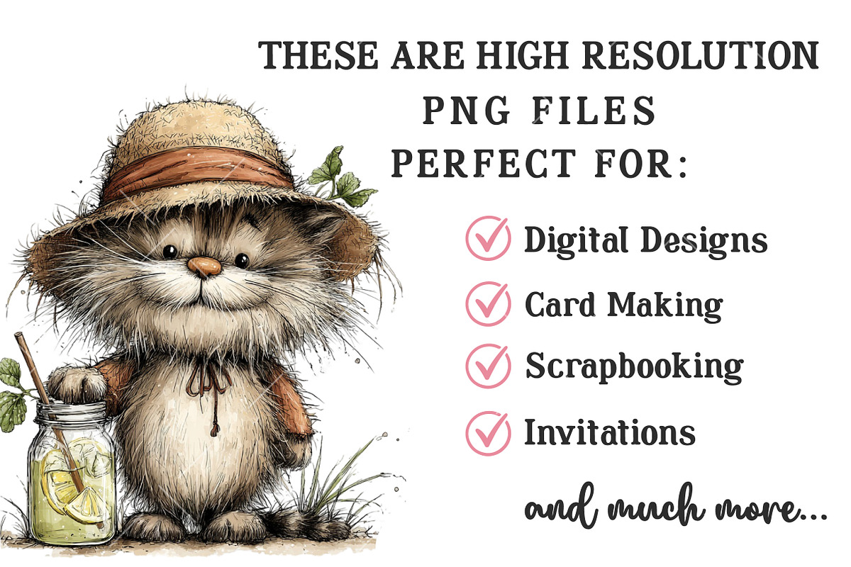 Whimsical Summer Cat Clipart, an Illustration by OK Design (Photo 4 of 6)