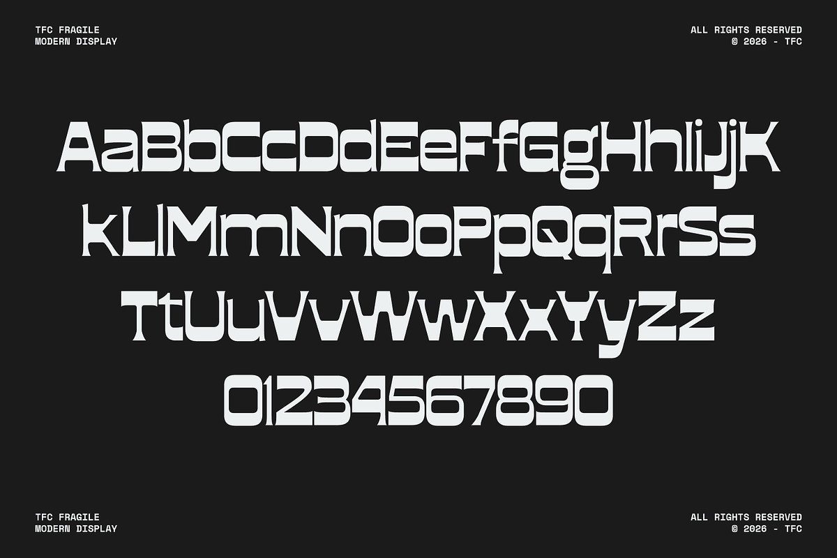 TFC Fragile Font, a Sans Serif Font by Type Flock (Photo 16 of 17)