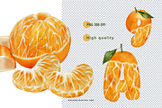 Watercolor Orange Fruit Clipart PNG, a Food Illustration by Balada Digital Art (Thumbnail 4 of 6)
