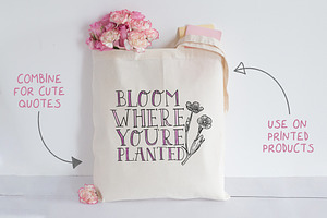 Darling Bloom Font