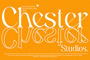 Giloste, a Serif Font by Natural Ink Studio (Thumbnail 9 of 11)