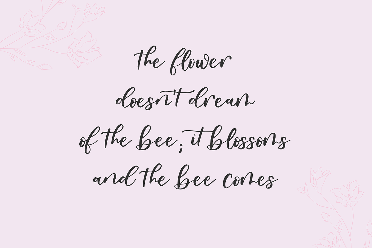 Oakley May Script, a Script Font by Beck McCormick (Photo 8 of 9)