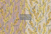 Pattern MIMOSA, a Decorative Illustration by PASHKOVA (Thumbnail 18 of 18)