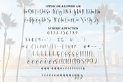 California | Script Font, a Handwritten Font by Scratchones (Thumbnail 7 of 8)