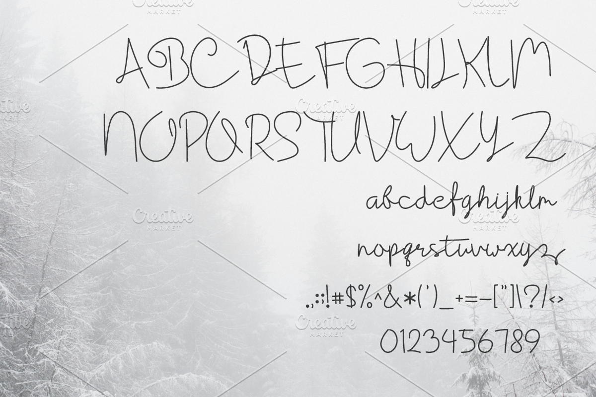 Cantika Signature Script Font, a Script Font by Artiveko (Photo 10 of 10)