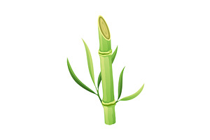 Bamboo green stalk, icon. Stem, an Object Illustration by Things for designers