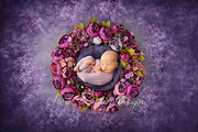 Newborn Photography Digital Backdrop, a Layer Style Add-On by Sweet Bambini Design (Thumbnail 1 of 3)