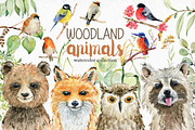 70% off. Bundle. Woodland animals., an Animal Illustration by TaPilipa (Thumbnail 12 of 38)