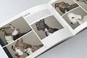 Elegant Photo Album A4 + Letter, a Brochure Template by Luuqas Design (Thumbnail 3 of 7)
