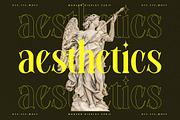 Mythical Romance Modern Display, a Serif Font by timelesstype.co (Thumbnail 3 of 20)