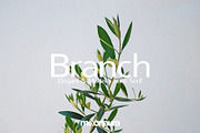 Black Friday Font Bundle (Limited), a Serif Font by Schrifted Type (Thumbnail 8 of 22)